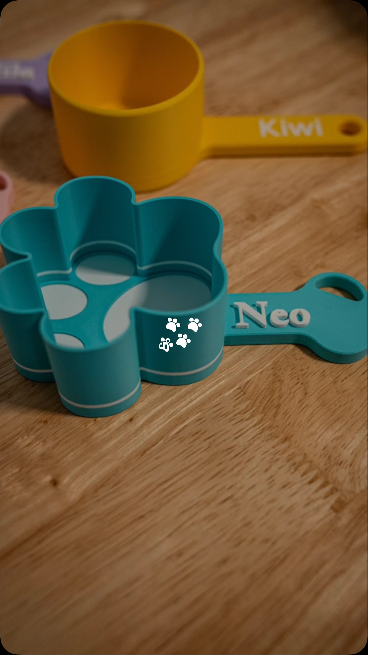Scoops para alimento de mascotas personalizados con nombres